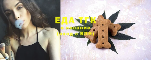 шишки Магас