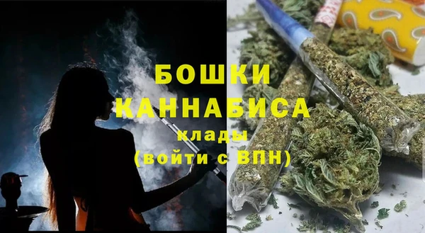 шишки Магас