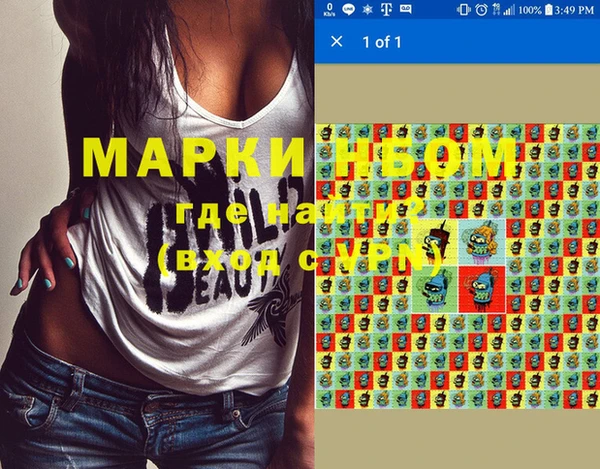 шишки Магас