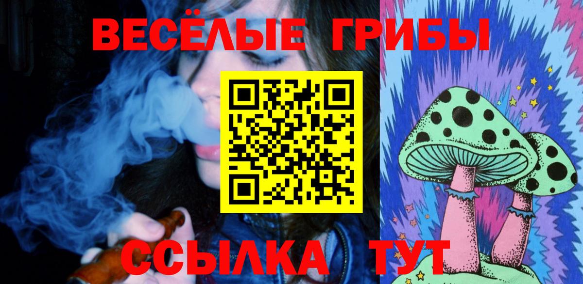 Псилоцибиновые грибы Cubensis Ступино